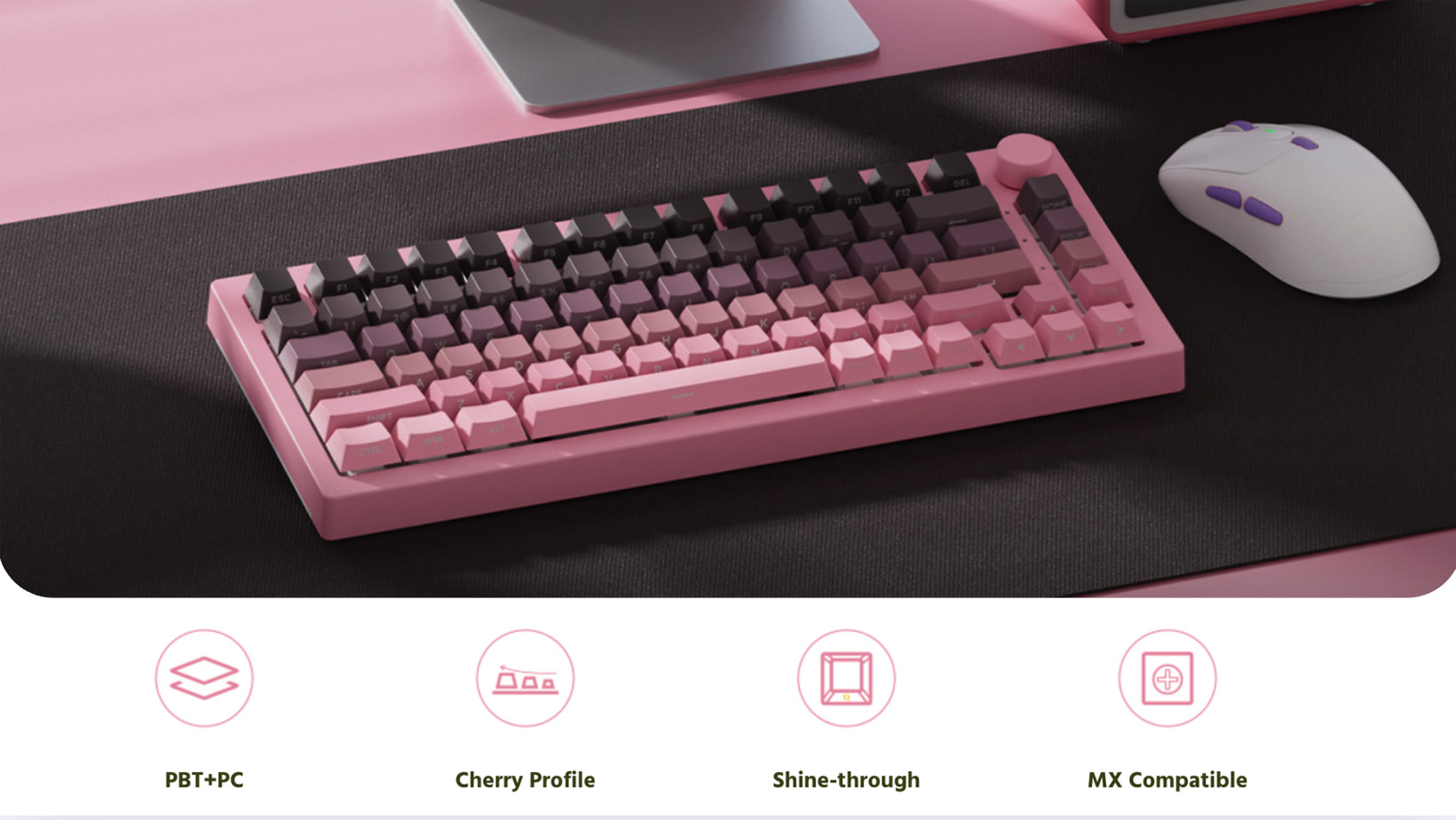 bo-keycap-veekos-black-pink-gradient-beegaming-2