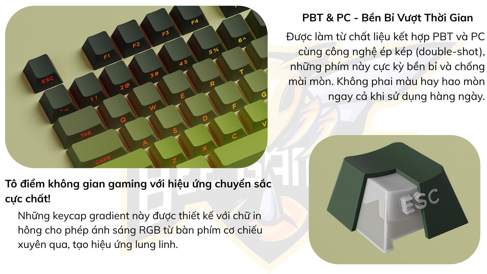 bo-keycap-veekos-forest-gradient-beegaming-8