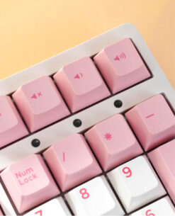 ban-phim-co-khong-day-akko-3108rf-v3-prunus-lannesiana-beegaming