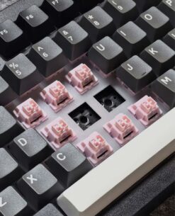 ban-phim-co-khong-day-akko-5075B-v3-series-beegaming